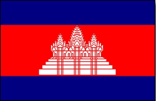 柬埔寨商务签证 (一年多次)