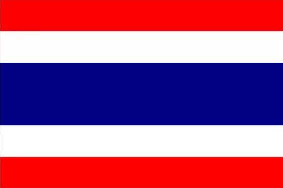 泰国旅游签证（半年多次）