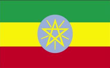 埃塞俄比亚电子签